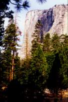 Yosemite NP (Foto Jan Vestk)